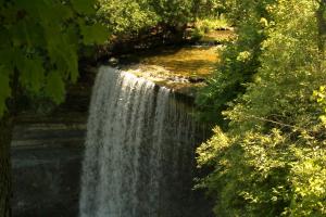 image4.jpg