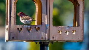 image4.jpg
