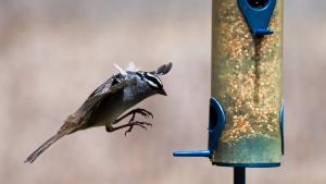 image38.jpg