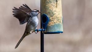 image6.jpg