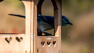 Feeding In October