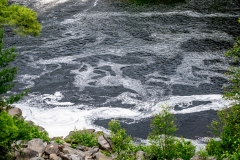 Photo_003