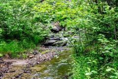 Photo_004