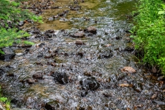 Photo_006
