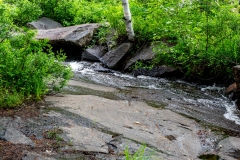 Photo_007