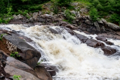 Photo_009