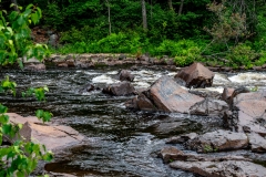Photo_013
