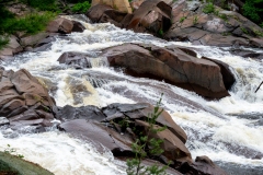Photo_017