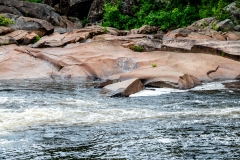 Photo_035