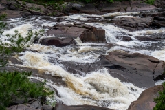 Photo_041