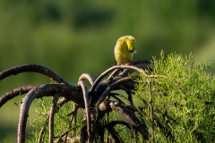 Photo_012