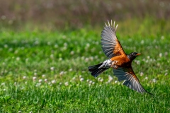 Photo_020-Edit