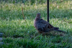 Photo_042-Edit