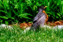 Photo_044-Edit