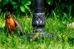 Photo_051-Edit